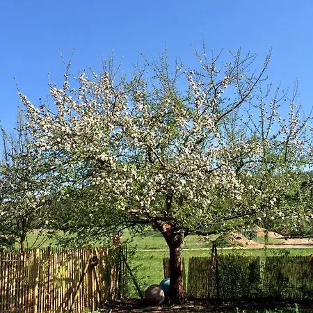 Дом отдыха Tinyhouse Bamberg *